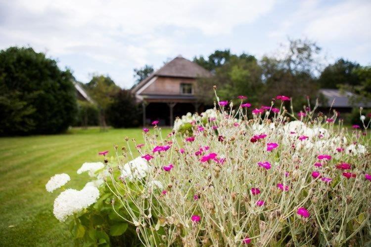 Aalden Aan De Aelder Esch Bed & Breakfast エクステリア 写真